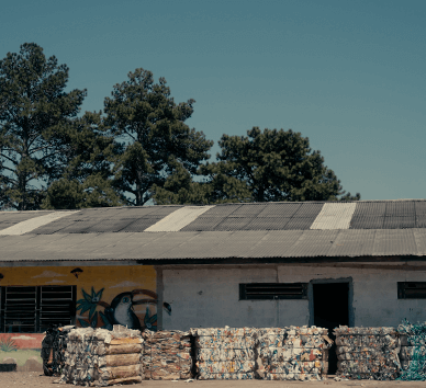 Cooperativa + Circular - Galeria 3